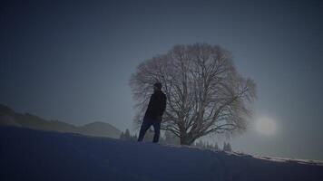 Male Person Walking in Deep Snow Looking at Single Tree video