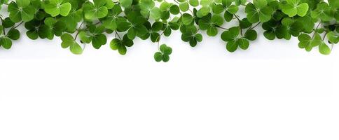 AI generated border with four-leaf clover on a white background. St.Patrick 's Day photo