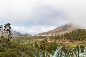 Misty mountain landscape with lush greenery and cloudy sky in Tenerife. photo