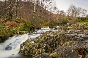 Serene stream flowing over rocky terrain with trees and foliage in a tranquil forest setting in Lake District. photo