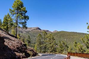 Mountain road with pine trees under clear blue sky in Tenerife. photo