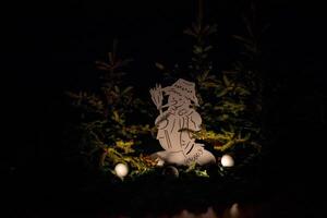 Silhouette of a decorative figure in a garden at night, illuminated by soft lights with dark background. photo