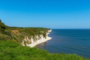 Scenic view of white chalk cliffs and green coastline against a clear blue sky. photo