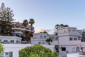 Modern residential buildings with balconies surrounded by trees under a clear sky at dusk in Los Cristianos, Tenerife. photo