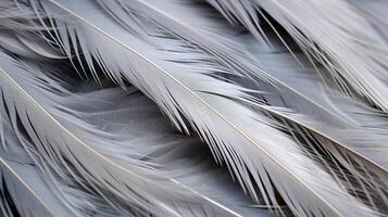 AI generated A closeup of textured bird feathers photo