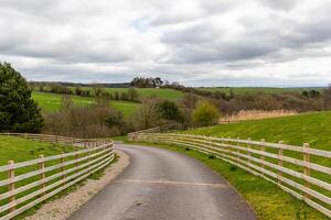 Country road winding through green pastures with white fences under a cloudy sky. photo