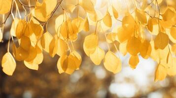 AI generated Golden leaves hanging from tree branches photo