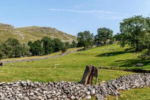 Idyllic rural landscape with stone walls, grazing sheep, and rolling hills under a clear blue sky. photo