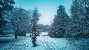 Photo of winter time in Harrogate