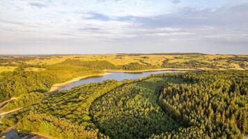 Aerial view of a lush forest with a winding river and rolling hills under a clear sky. photo
