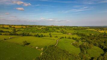 Aerial view of lush green countryside with fields and trees under a blue sky with scattered clouds. photo
