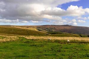 Rolling hills with lush green grass under a cloudy sky, with a hint of blue peeking through, in a serene rural landscape in Yorkshire Dales. photo