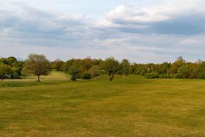 Tranquil landscape of a green park with scattered trees under a blue sky with soft clouds. photo