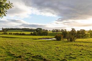 Idyllic countryside landscape with lush green fields, trees, and a small pond under a cloudy sky. photo