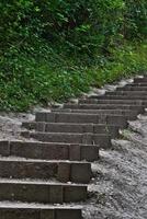 Stone staircase ascending through lush green foliage in a tranquil forest setting. photo