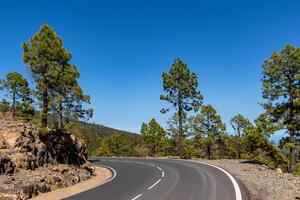 Curvy mountain road with pine trees under a clear blue sky in Tenerife. photo