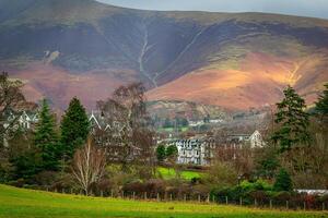 Idyllic rural landscape with quaint houses nestled among trees, with rolling hills and sunlight highlighting the background. photo