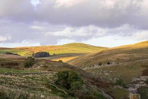 laminación colinas con dorado luz de sol en rural paisaje, dispersado arboles y nublado cielo en Yorkshire valles. foto