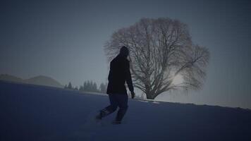 masculino persona caminando en profundo nieve mirando a soltero árbol video