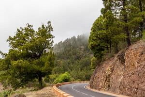 Winding mountain road with lush green trees and fog in the background in Tenerife. photo