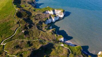 Aerial view of a scenic coastal cliff with greenery and winding paths leading to the beach in Flamborough, England photo