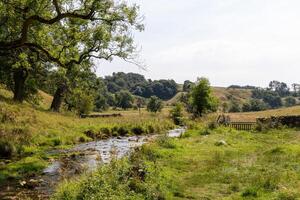 Idyllic countryside scene with a rustic stone wall, lush green fields, and a clear sky, perfect for backgrounds or nature themes. photo