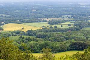 Scenic view of a lush green countryside with fields and trees, under a hazy sky. photo