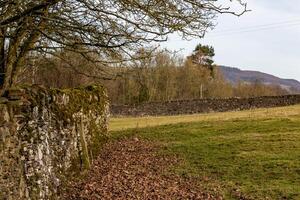 Rustic stone wall with moss, bare tree branches, and a tranquil countryside landscape in the background. photo