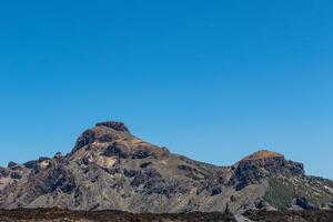 Lush green pine trees against a clear blue sky in a serene forest setting in Tenerife. photo