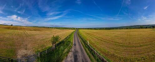 Panoramic view of a scenic country road cutting through golden fields under a vast blue sky with wispy clouds. photo