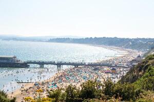 Sunny beach day with crowded sandy shore and pier, clear blue water, and lush greenery in the foreground. photo