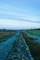 Rural landscape at dusk with a long, straight path cutting through fields under a blue sky with a visible moon. photo