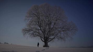 uno uomo escursioni a piedi all'aperto nel inverno neve paesaggio scenario video