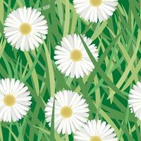 Seamless pattern of daisies and leaves. Chamomile blooming in the grass vector