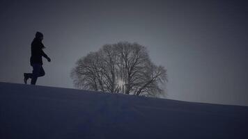 einer Mann Wandern draußen im Winter Schnee Landschaft Landschaft video