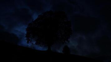 temps laps de plein lune en hausse derrière Célibataire arbre silhouette dans foncé nuit video