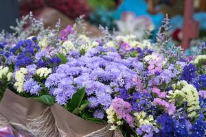 ramo de flores de áster magenta foto