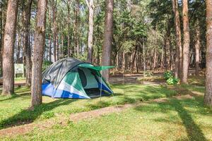 Dome tent camping in forest photo