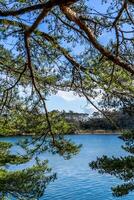 pino arboles y azul agua a fukuurajima isla cerca matsushimakaigan en Japón foto