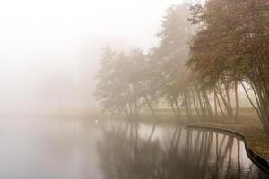 Autumn trees being reflected into the water of a canal during heavy fog in Apeldoorn, The Netherlands photo