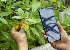 el concepto de utilizando ai y inteligente agricultura foto