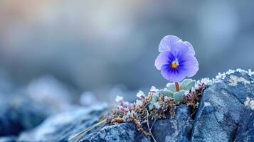 AI generated Delicate bloom defies harsh tundra, a resilient flower gracing rugged rock cliffs, Ai Generated. photo