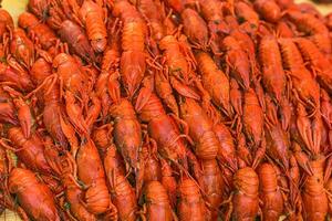 Fresh red boiled crawfish. Cooked crayfish with dill. Beer snack. Crayfish to beer. photo