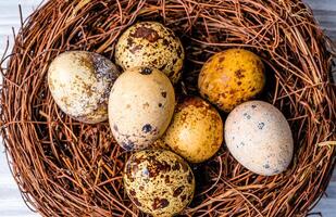 Quail eggs in a nest. Protein diet. Healthy diet photo