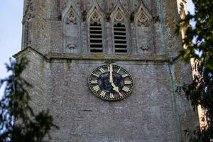 de cerca de un antiguo Iglesia torre reloj con romano numerales, rodeado por follaje. foto