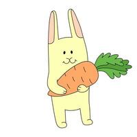 The Easter bunny is holding a carrot. Vector illustration isolated on white