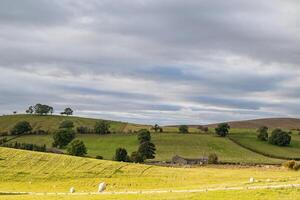 Rolling hills with green fields, scattered trees, and a farmhouse under a cloudy sky. photo