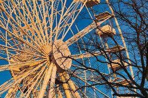 A ferris wheel against a clear blue sky at sunset, with trees in the foreground. photo