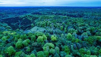 aéreo ver de un lozano verde bosque con un claro, exhibiendo el denso árbol pabellón y natural paisaje. foto