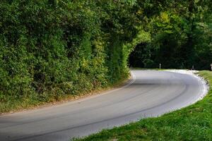 Curved country road surrounded by lush greenery, depicting a tranquil rural scene. photo